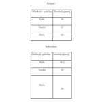 palnik DEFENDI duży nr 5